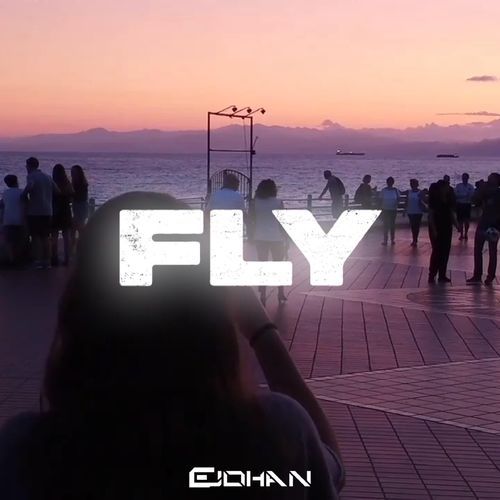 Fly