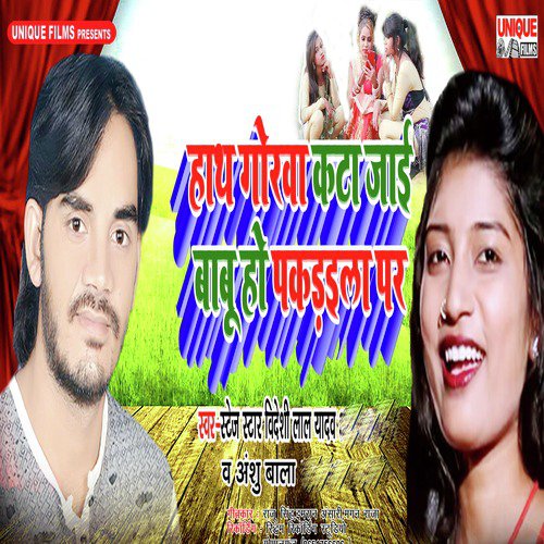 Hath Godava Kata Jaai Babu Ho Pakadaila Par_poster_image