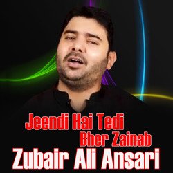 Jeendi Hai Tedi Bher Zainab-ADw8WUNVfFA