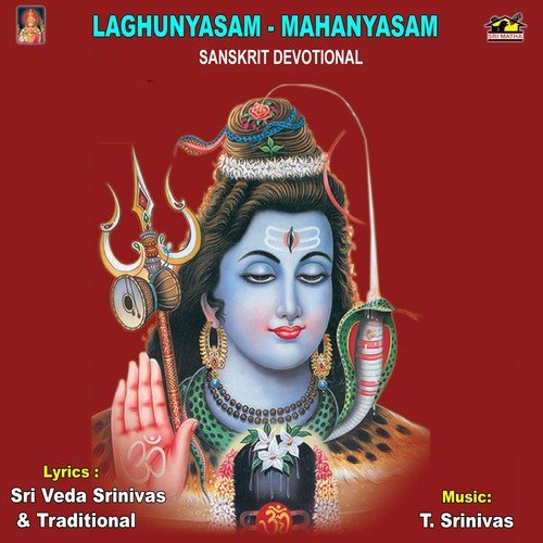 Laghunyasam - Mahanyasam