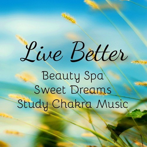 Pure Deep Relaxation cover art