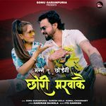 Manne Tu Chhodegi Chhori Marva Ke