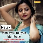 Meri pyari tu kyun lejari bajar