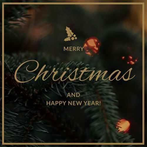 Merry Christmas And Happy New Year! cover art