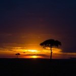 Détente Exotique de l'Eau