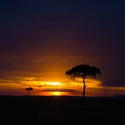 Détente Exotique de l'Eau