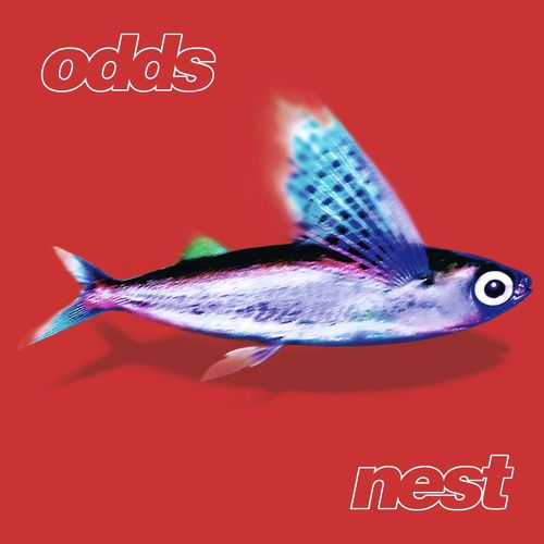 Nest