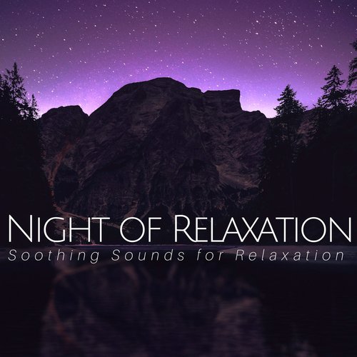 Night of Relaxation: Soothing Sounds for Relaxation, Sleep Music, Background Music for Trouble Sleeping, Inner Peace
