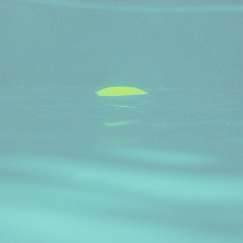 Holt cover art