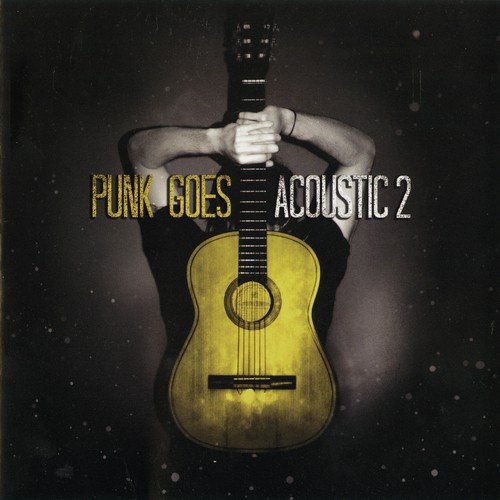 Punk Goes Acoustic, Vol. 2