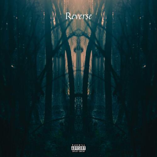 Reverse cover art