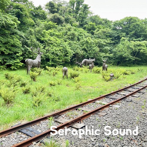 Seraphic Sound cover art