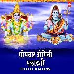 Somvar Yogini Ekadashi Special Bhajans