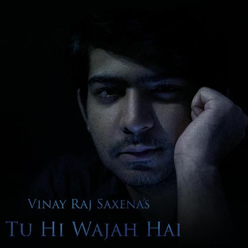 Tu Hi Wajah Hai_poster_image