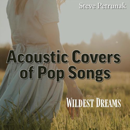 Wildest Dreams: Acoustic Covers of Pop Songs_poster_image