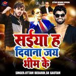 saiya ha deewana jay bhim ke