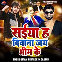 saiya ha deewana jay bhim ke