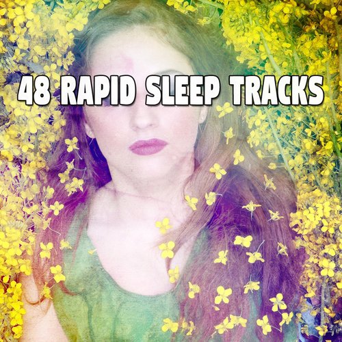 48 Rapid Sleep Tracks