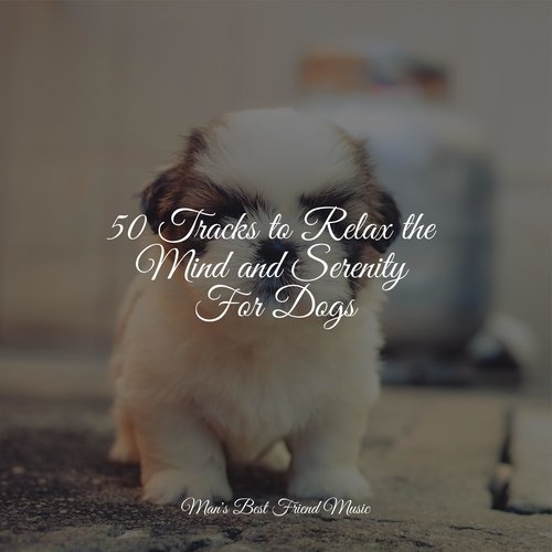 Meditating Music cover art