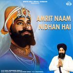 Amrit Naam Nidhan Hai