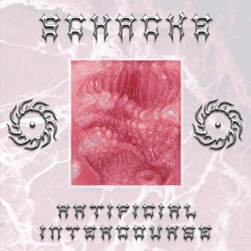 Artificial Intercourse