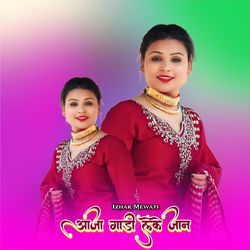 गाड़ी लेके चलोगो रात