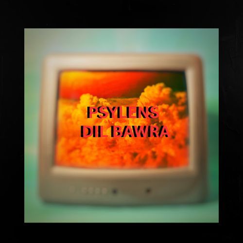 Dil Bawra