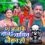 Dj Bajake Nach Nagin Jaisan Ho