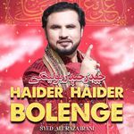 Haider Haider Bolenge