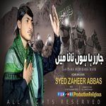 Jaa Raha Hun NaNa Main