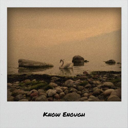Know Enough
