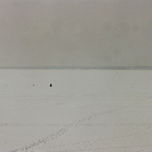 Звездочёт cover art