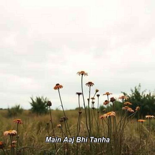 Main Aaj Bhi Tanha