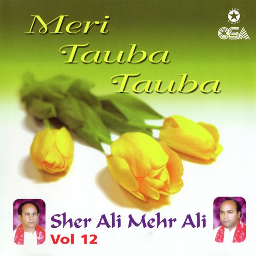 Meri Tauba Tauba, Vol. 12