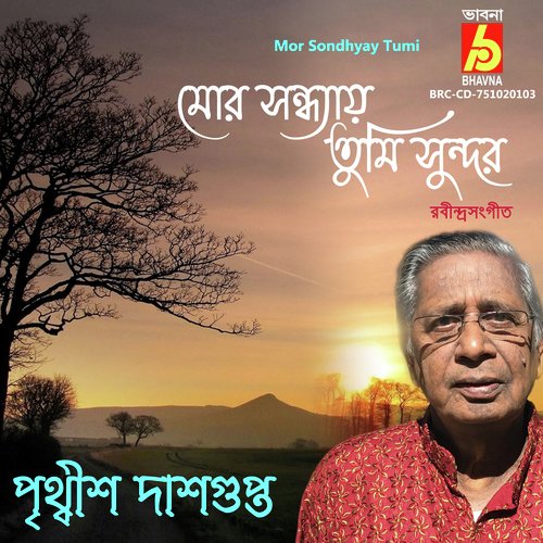 Mor Sondhyay Tumi