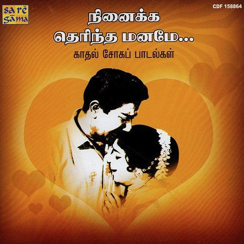 Ninaikka Therindha Maname - Love Sad Songs