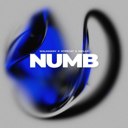 Numb cover art