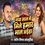 Nya Sal Me Mile Hamar Mal Ahiya