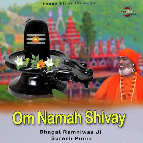 Om Namah Shivay