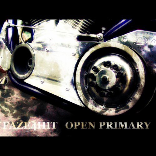 Open Primary