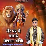 मेरे घर मैं घलादै पालणा शक्ति