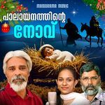 Palayanathinte Novu