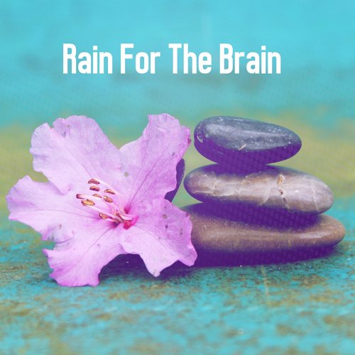 Rain For The Brain