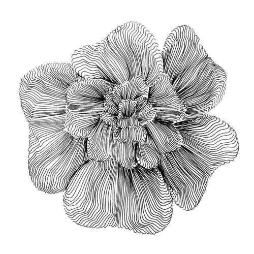 Fingerprints cover art