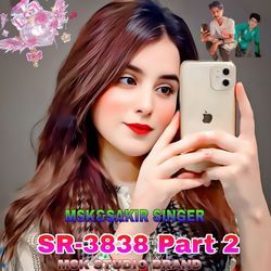 SR-3838 Part 2-Bhouek1RQWk