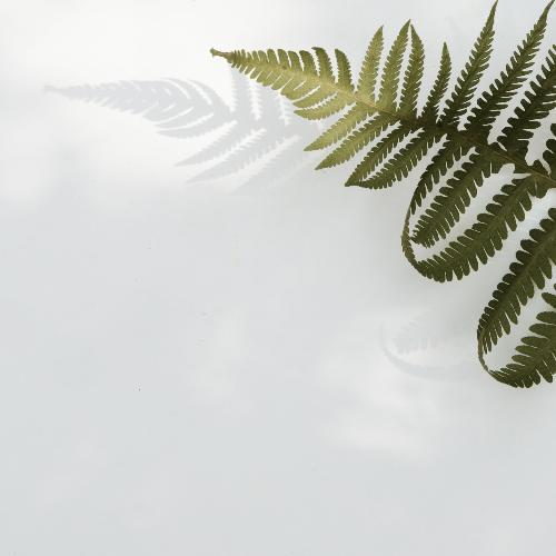 Peaceful Healings cover art