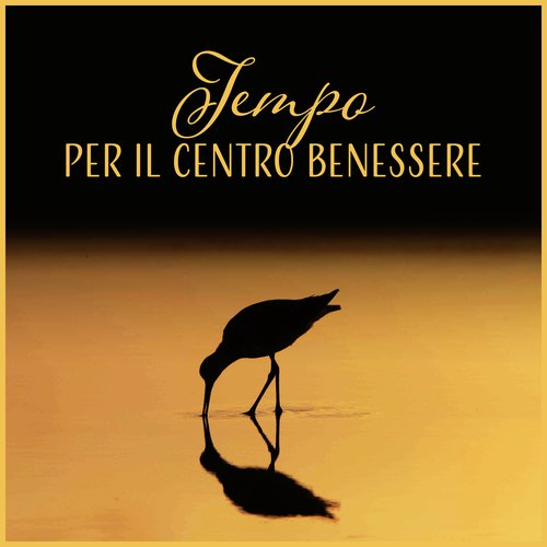 Musica terapeutica cover art