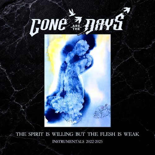 The Spirit is Willing but the Flesh is Weak (Instrumentals 2022 - 2025)