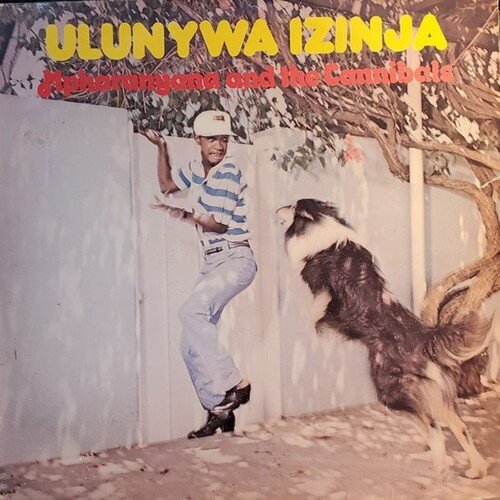 Ziyaduma cover art