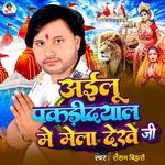 Aillu Pakaridayal Me Mela Dekhe Ji